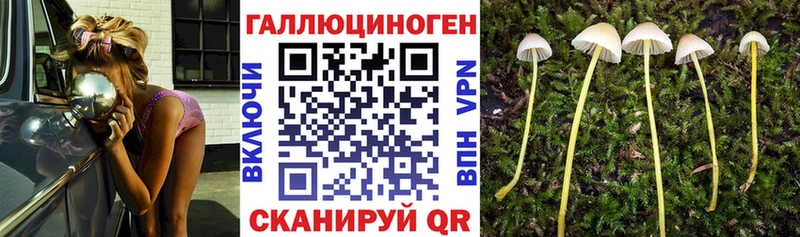 Купить  Лысьва  Галлюциногенные грибы ЛСД 